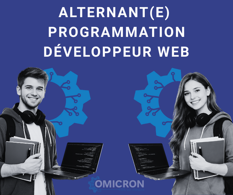 Développement web et programmation en entreprise industrielle